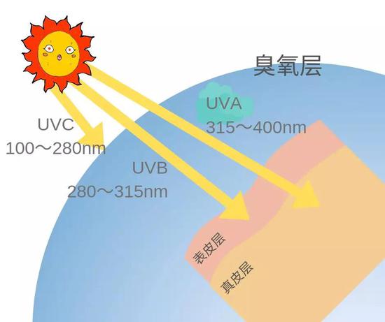  紫外线成分示意图（图片来源：作者制作）