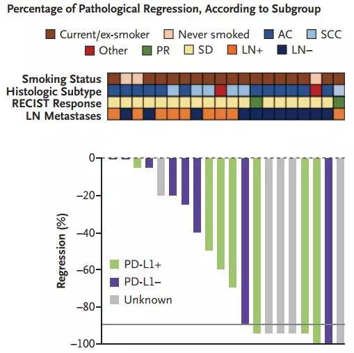 PD-L1阳性效果好，但是阴性也不差呢……