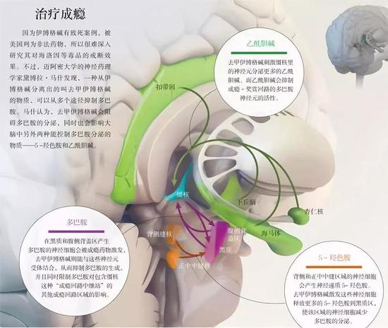 用毒药戒毒:48小时摆脱毒瘾,代价可能是致命