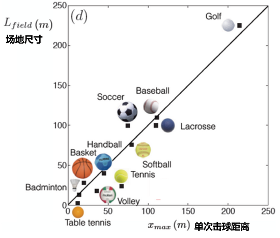 球类单次运动的距离和场地的关系（图源：Physics of ball sports，作者翻译）