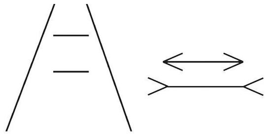 蓬佐错觉（左）与米勒-莱尔错觉（右）。蓬佐错觉说的是，中有一对向某一点汇集的直线，其中画有两条相同长度的横向线段，在这种情况下，我们视觉会认为上面一条横线更长一些。而米勒-莱尔错觉则指，两条等长的平行线段，两端箭头向外的线段比两端箭头向内的线段看起来更长。