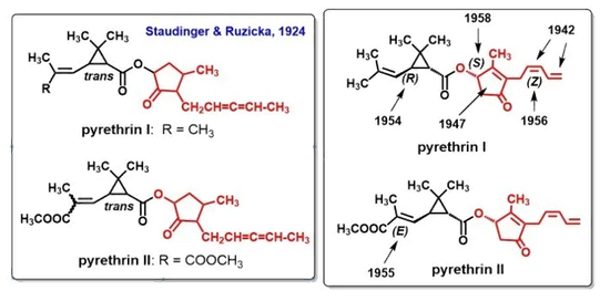 左：除虫菊酯的早期猜测的化学结构；右：除虫菊酯的精确化学结构。图片来源 cn.bing
