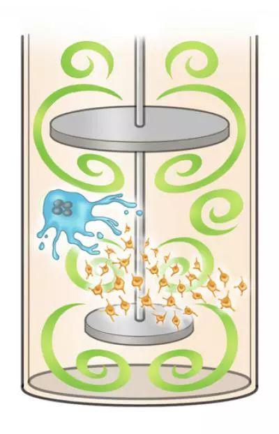 vermes生物反应器