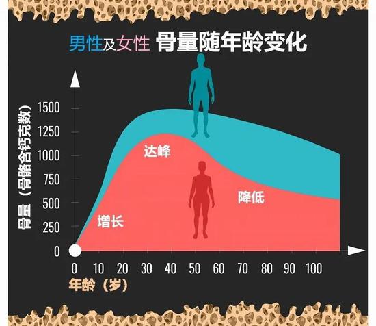 骨量标准表范围图片