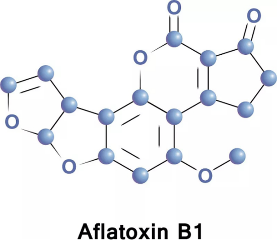 黄曲霉毒素B1结构式（图片来源/视觉中国）