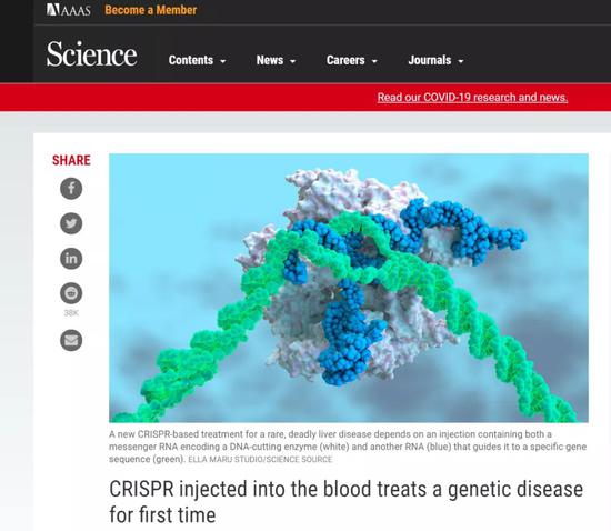 全球首例人体 CRISPR 基因编辑试验 1 期结果公布