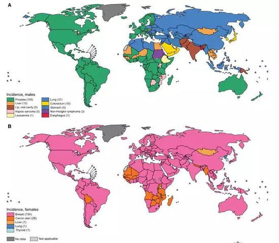 各国男性（上图）及女性（下图）中，发病率最高的癌症类型。中国男性最高发癌症类型为肺癌（蓝色），女性为乳腺癌（粉色）。