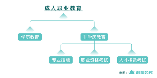 编程 考公 配音 双减 之后的成人职业教育有哪些新花样 成人职业教育 新浪科技 新浪网