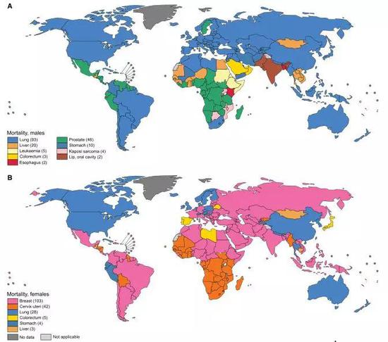  各国男性（上图）及女性（下图）中，死亡比例最高的癌症类型。中国男性与女性死亡比例最高的癌症类型都为肺癌（蓝色）。