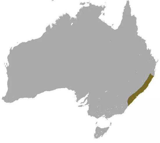 棕袋鼩在澳大利亚的栖息地，来源于《世界自然保护联盟濒危物种红色名录》。图片截取自BlankMap-World.png，来源为Chermundy，Wikimedia Commons