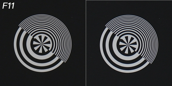 新浪科技综合|生态摄影新浪潮 适马150-600mm F5-6.3 DG DN OS镜头评测