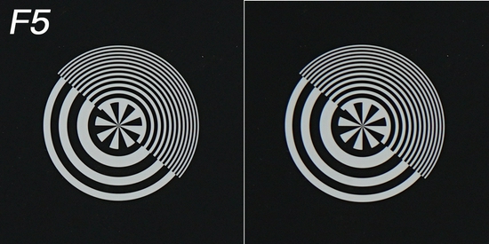 新浪科技综合|生态摄影新浪潮 适马150-600mm F5-6.3 DG DN OS镜头评测