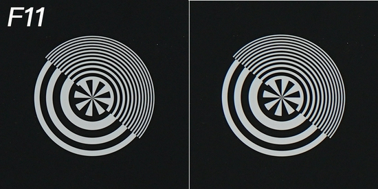 新浪科技综合|生态摄影新浪潮 适马150-600mm F5-6.3 DG DN OS镜头评测