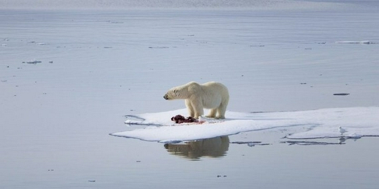 ▲ 图片来自：Getty Image