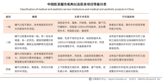 国内医美项目等级分类 图片来源：艾媒数据报告