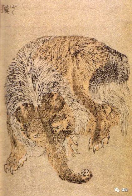 18-19世纪日本画家葛饰北斋笔下的貘