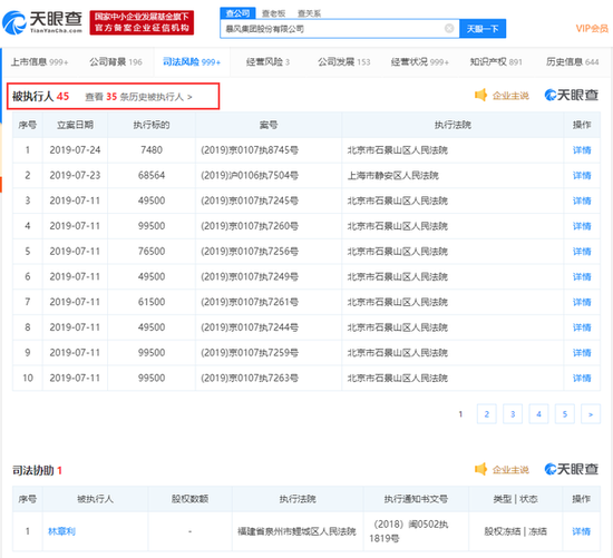 暴风集团再增7条被执行人信息 执行标的超2473万