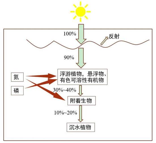 图3 水体光衰减过程