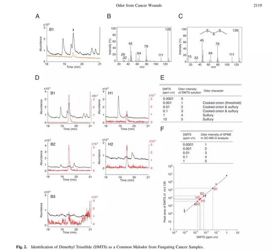 二甲基三硫化二甲酯（DMTS）作为一种常见的恶臭，（图片来源：文献[4]）