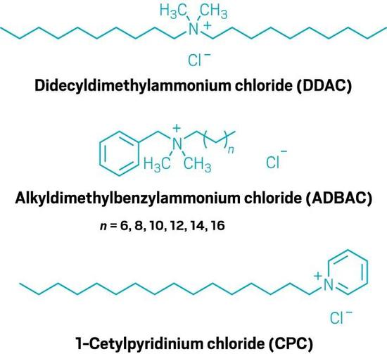 三种常见季铵盐的分子式.图片来源:c&en
