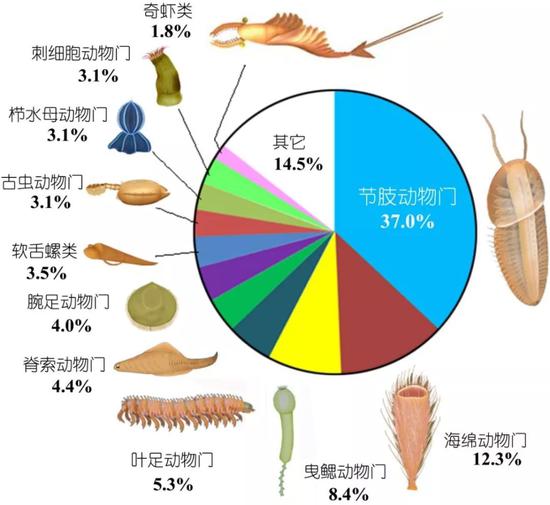 澄江动物群各门类化石数量占比，奇虾类作为顶级捕食者，数量只占了个零头（图片来源：《云南寒武纪早期澄江动物群古群落分析》 赵方臣 朱茂炎 胡世学）