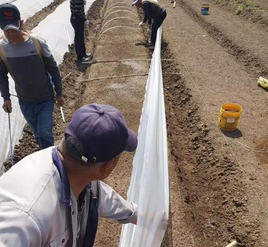 袁隆平的大动作,更长远的意义是造良田,耐盐碱水稻口感怎么样? 袁隆平的大动作,更长远的意义是造良田,耐盐碱水稻口感怎么样?