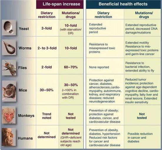 不同手段对不同模式生物寿命的影响|参考文献[17]