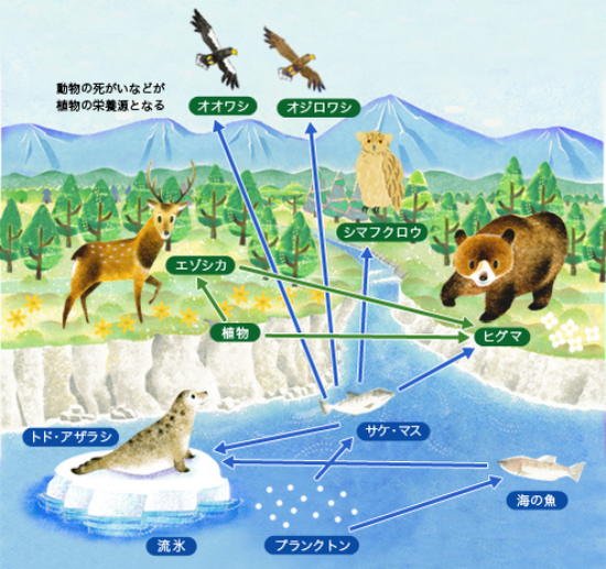 日本三重县水族馆的一只大王具足虫时隔两年再次发生了排便