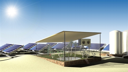 科学探索|沙特科学家发明太阳能驱动系统：空气中取水，沙漠里种菜
