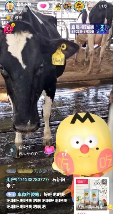 我是不白吃远程直播