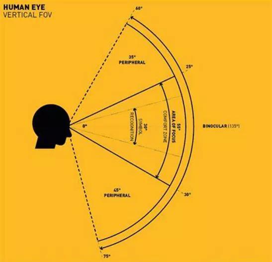 　人眼的视野大约是向外95°、向内60°、向上60°、向下75°。视神经的缺陷或是盲点位于颞部12–15°、水平向下1.5°处，大约是7.5°高和5.5°宽。