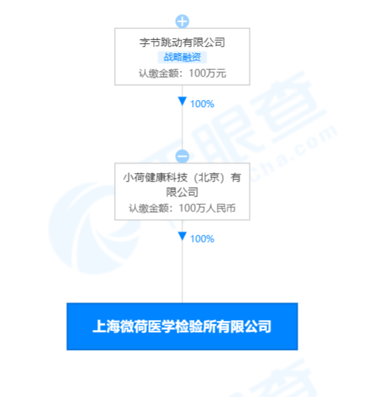 上海微荷医学检验所有限公司股权穿透图