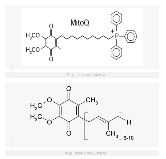 MitoQ化学结构（上）和辅酶Q10化学结构（下）