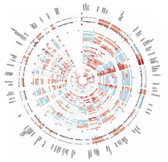 ▲和疾病进展有关的一些变异（图片来源：参考资料[1]）