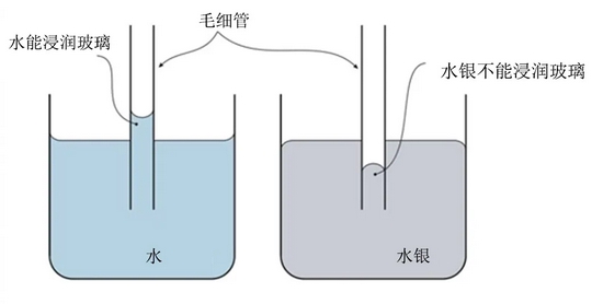 　图3 不同液体中的玻璃毛细管
