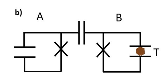 实验电路示意图。A、B为两个量子比特，T代表水熊虫（图片来源：原论文）