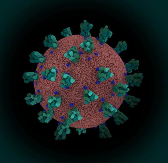 sars-cov-2冠狀病毒 (圖片來源:https://www.rcsb.org/)