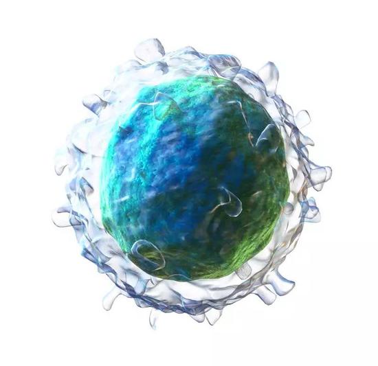 3D 渲染的 B 淋巴细胞。| 图片来源：Wikipedia