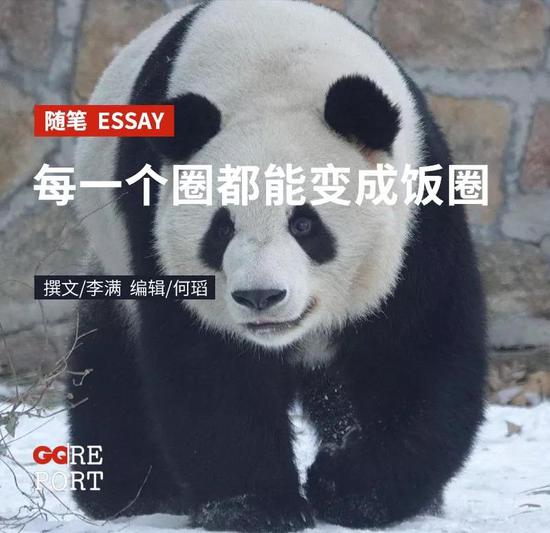 饭圈文化入侵各行各业：连大熊猫都开始有站姐