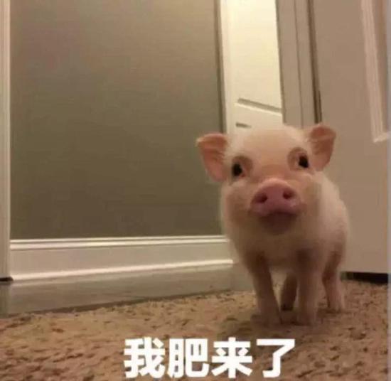 二次元手办:乡村没有二次元:全网播放10多亿手办只要10块钱?