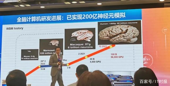 在复旦大学类脑智能科学与技术研究院院长冯建峰看来，“类脑计算”是AI领域突破的新方向。图源：IT时报