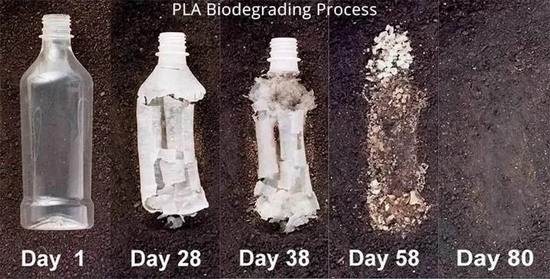 　PLA 材料的自然降解过程