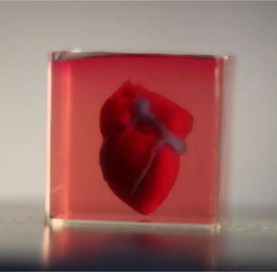 ▲3D打印心脏，以色列科学家带来了新突破（图片来源：参考资料[1]）