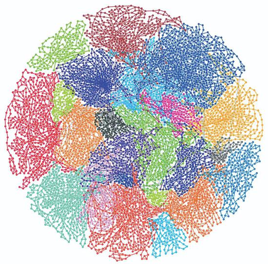  增强子—启动子RNA链接图 薛愿超供图