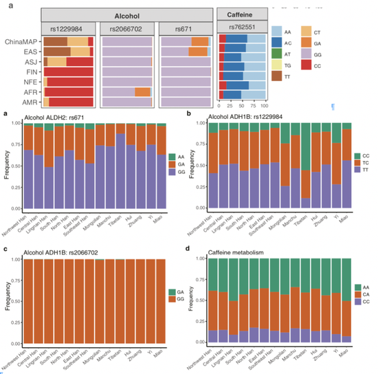  图 中国人酒精代谢出现明显的异质性，但是咖啡因代谢几乎没有明显差异