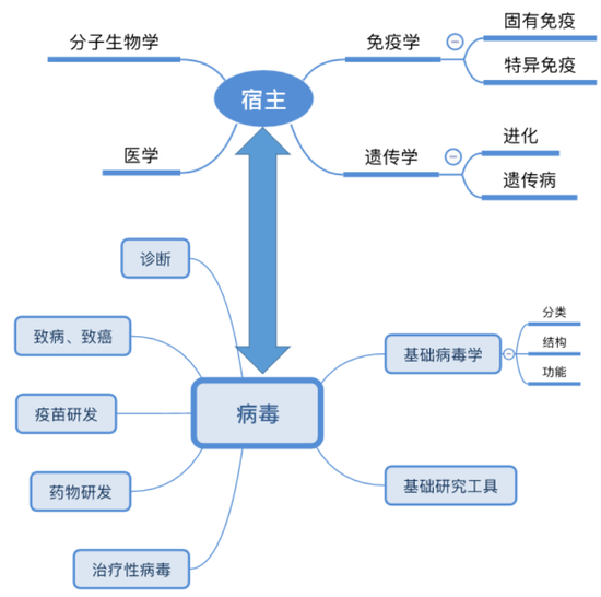 图2。 病毒学研究的主要内容及相关学科（作者作图）。包括病毒的结构、分类和演化；病毒的复制过程；病毒与宿主的相互作用及致病、致癌性；病毒研究技术（如病毒分离和培养）