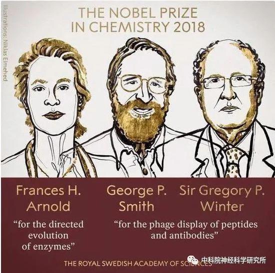 2018年诺贝尔化学奖颁给了两项研究成果。一个是阿诺德的“酶的定向演化”，另一个是“多肽和抗体的噬菌体展示技术”，由史密斯和温特共同获得。（图片来源：https://www.nobelprize.org）