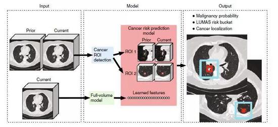 ▲本研究中训练AI的示意图（图片来源：参考资料[1]）