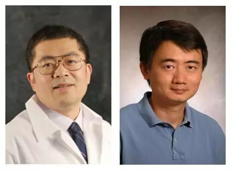 ▲本研究的通讯作者Ming Xu教授（左）和Xiaoyang Wu教授（右）（图片来源：芝加哥大学）