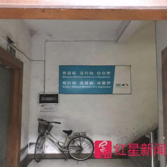 ▲新飞一部厂房院内 图片来源：红星新闻